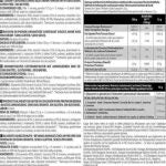 BioTechUSA Aminoácido Bcaa + Glutamina Zero 480g / Limón