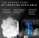 MuscleTech Cell Tech Creactor 120 Serv Fruit Punch