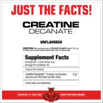 Carnivor Creatine Decanate Micronizada 300gr x 60 Srv.