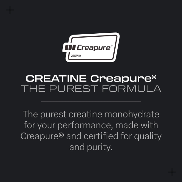 Beverly Creatina Monohidratada Creapure Cereza x 300 g / 100 Srv.